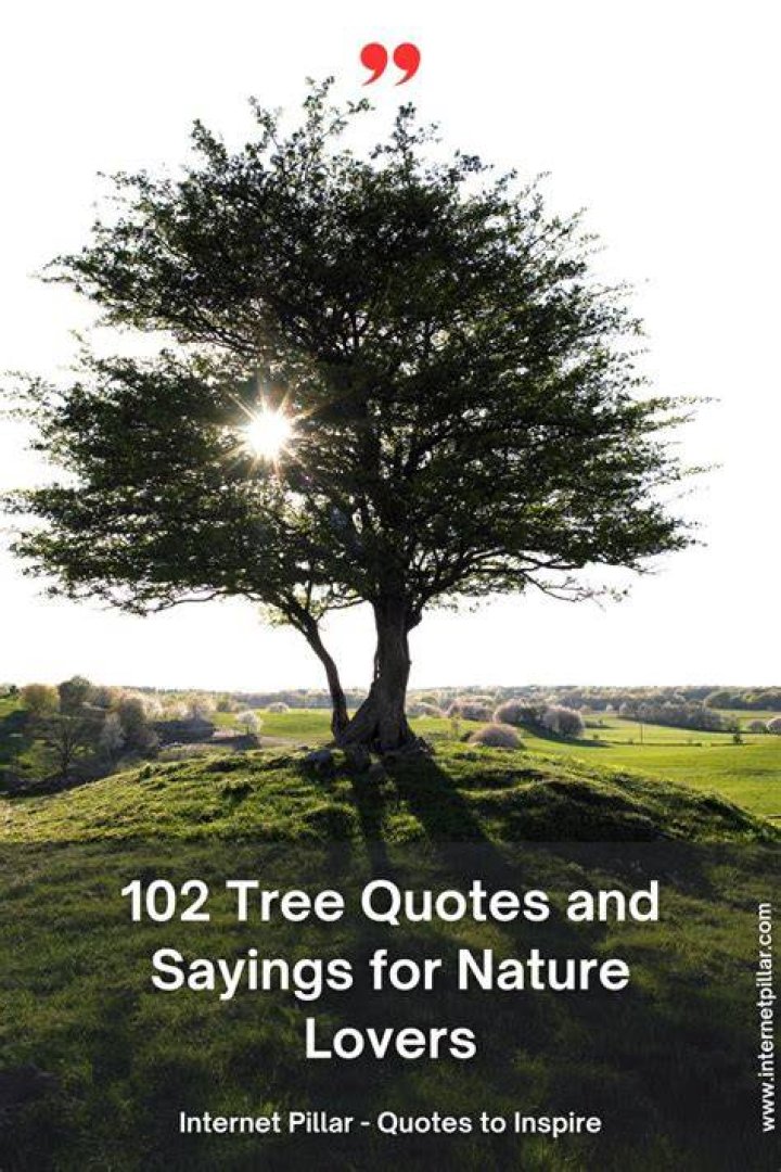 Sometimes Nature quotes, Tree of life quotes, Nature beach
