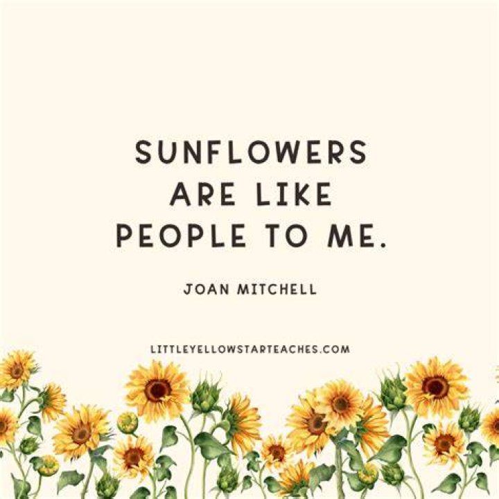 Sunflower Quote Sunflower quotes, Good morning quotes, Picture quotes