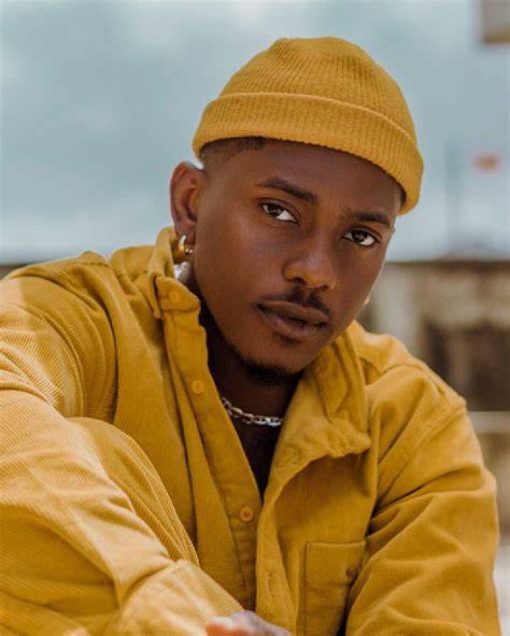 Timini Egbuson Biography Movies Net Worth Age Naijabiography