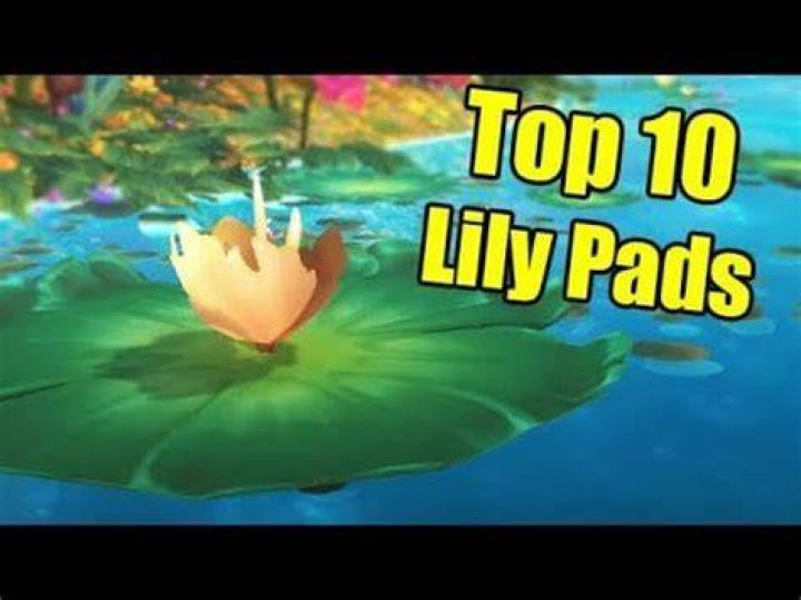 Top 10 is lily on y&r pregnant 2022