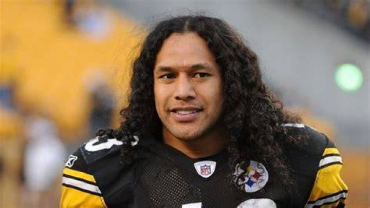 Troy Polamalu Net Worth, Bio, Height, Family, Age, Weight, Wiki 2023