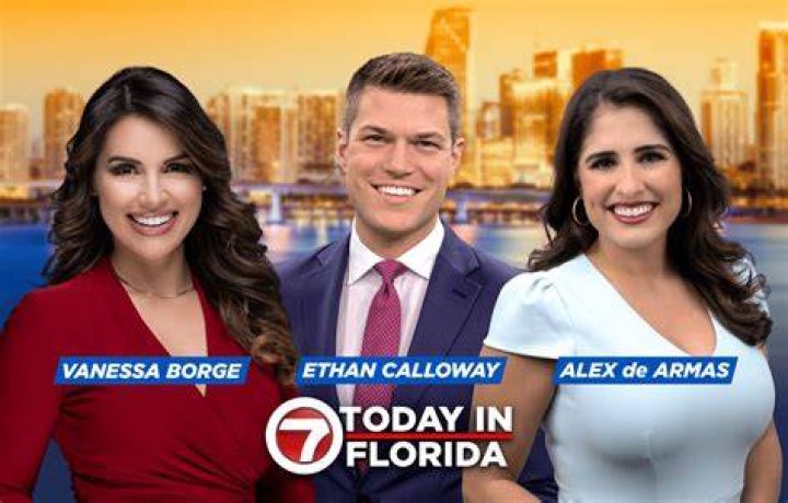 Vanessa WSVN Miami morning anchor r/hot_reporters