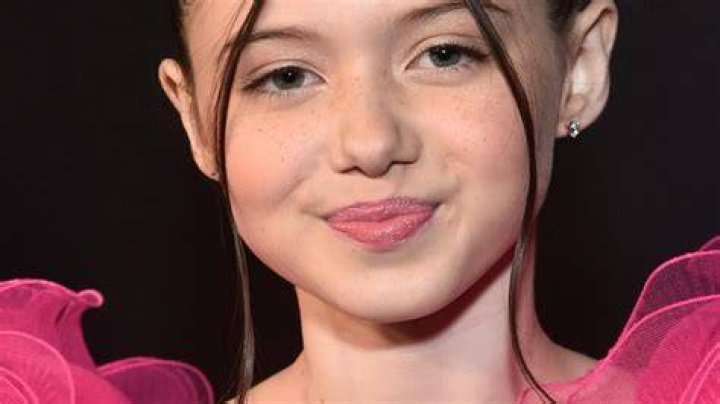 Violet McGraw M3GAN Actress Parents, Bio, Age, Net Worth Starsgab