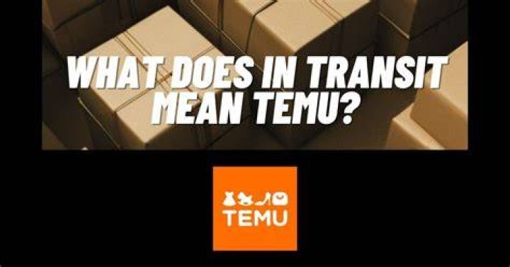 What Does Temu Mean in Chinese? [Answered 2023] ViralTalky