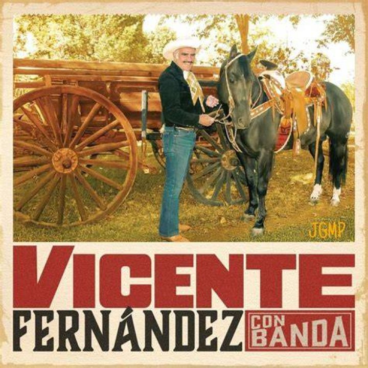 What is Vicente Fernández's net worth? The US Sun