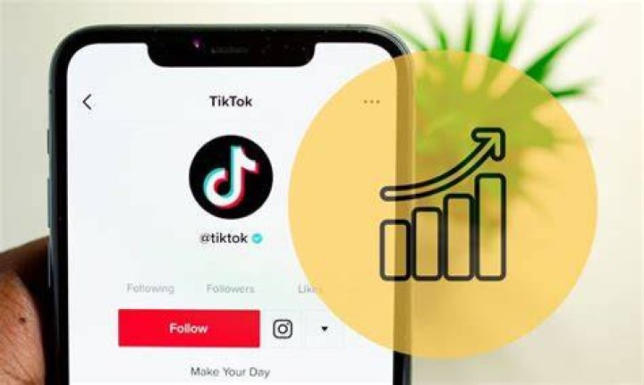 Why Is TikTok So Popular?